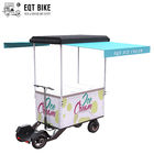 Ηλεκτρικό ποδήλατο φορτίου υποστήριξης μπαταριών κάρρων ποδηλάτων παγωτού μηχανικών δίκυκλων EQT για το κρύο επιχειρησιακό ποδήλατο φορτίων ποτών μπροστινό